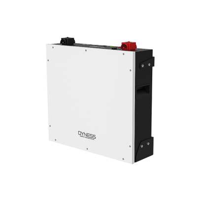 Аккумуляторный блок Dyness DL5.0C 5,12 кВт•ч 51,2 В