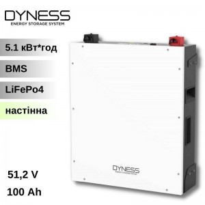 Аккумуляторный блок Dyness DL5.0C 5,12 кВт•ч 51,2 В