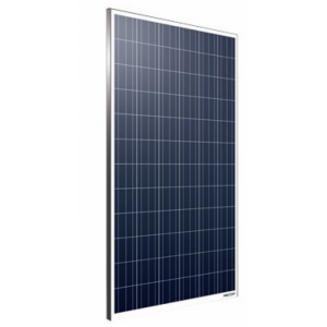 Сонячна панель Amerisolar AS-6P30 275