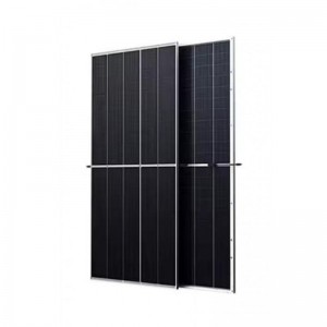 Монокристалічна сонячна панель Trina Solar TSM-DEG21C.20 660W BF Mono